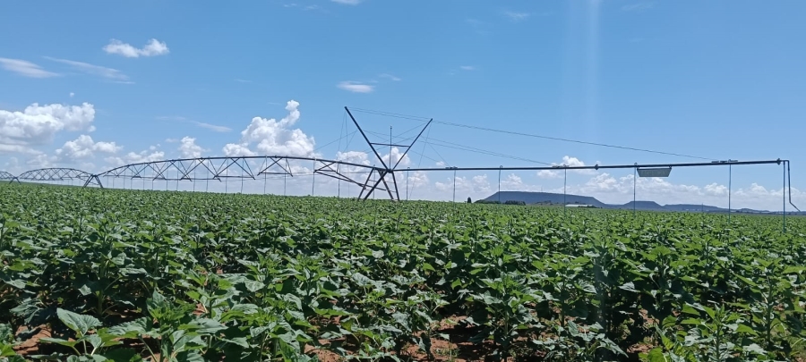 3 Bedroom Property for Sale in Bloemfontein Rural Free State